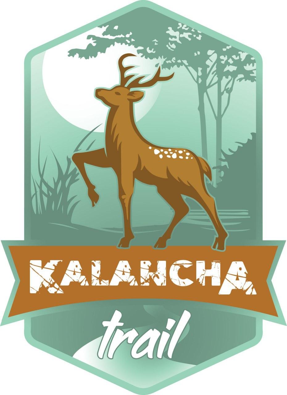 Salomon Kalancha trail 2020
